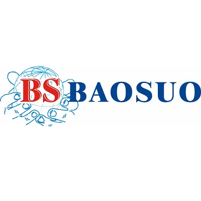 CÔNG TY CỔ PHẦN ĐẦU TƯ BS VIỆT NAM logo